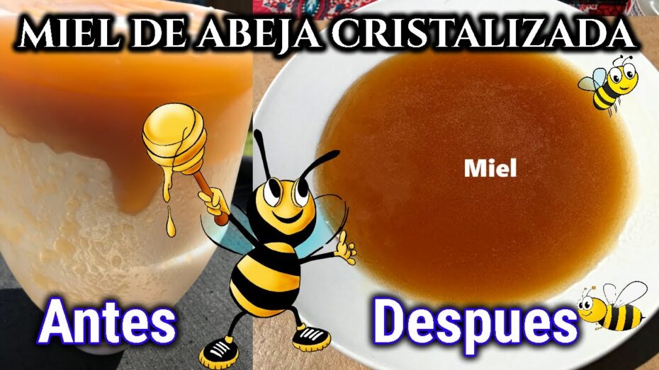 Cómo ablandar la miel cuando se cristaliza