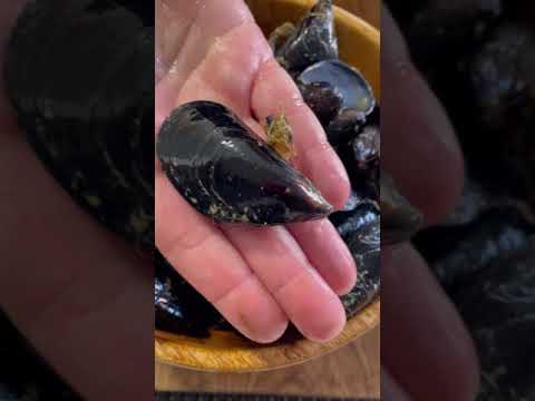 Cómo abrir y cocinar los mejillones