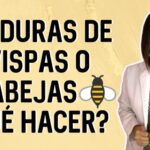Cómo actuar en el caso de una picadura de abeja o avispa