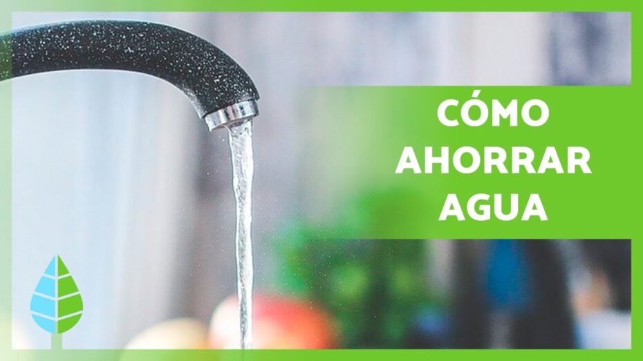 Cómo ahorrar agua