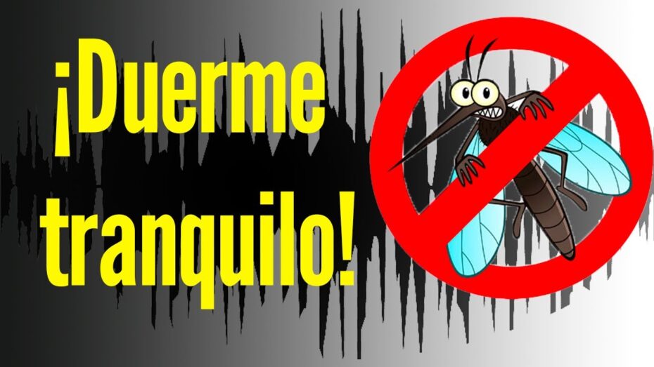 Cómo ahuyentar a los insectos