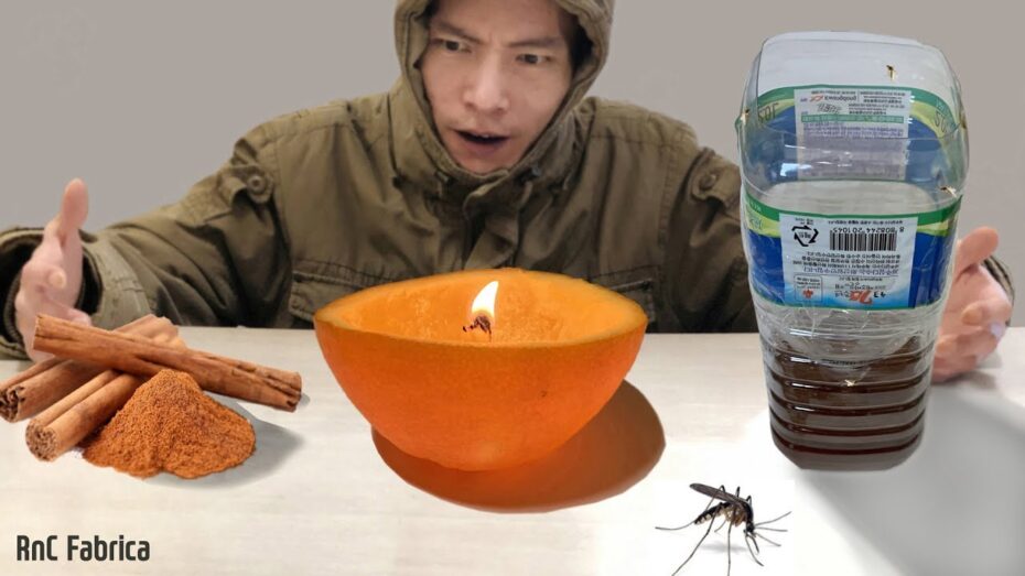 Cómo ahuyentar a los mosquitos con productos naturales Cómo ahuyentar a los mosquitos con productos naturales