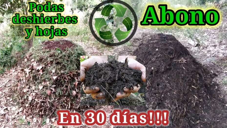 Cómo aprovechar las ramas caídas