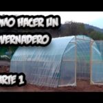 Cómo armar un invernadero