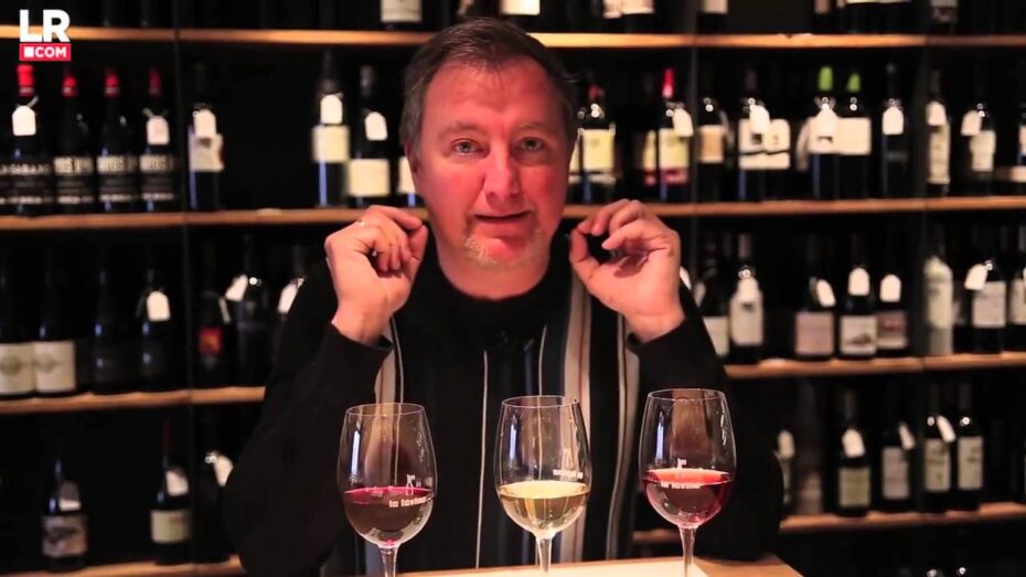 Cómo catar y comentar un vino