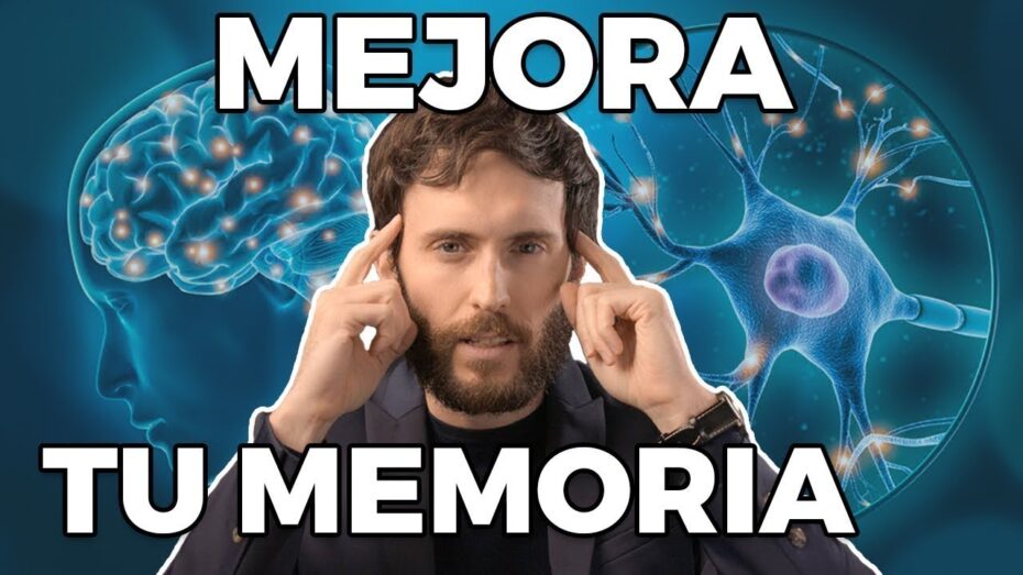 Cómo comer para mejorar la memoria