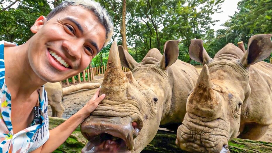 Cómo comportarse en una visita a una reserva animal abierta