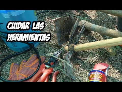 Cómo cuidar las herramientas de jardinería