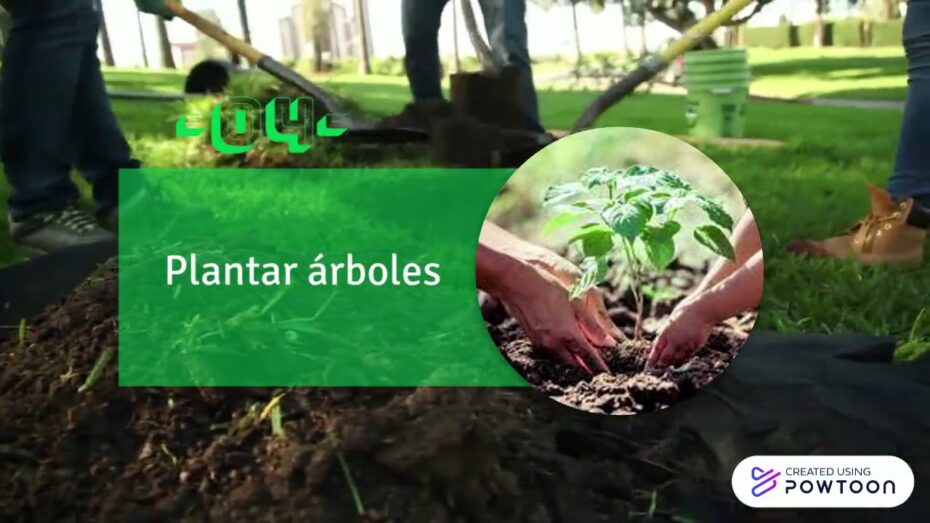 Cómo cuidar y mantener los suelos de corcho
