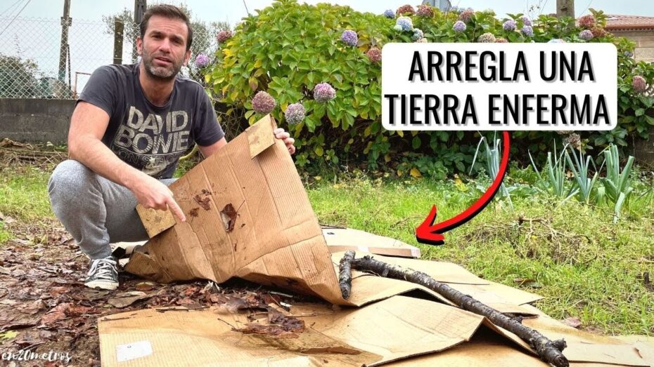 Cómo curar las estructuras de jardín