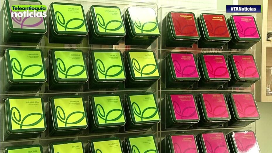 Cómo degustar el té