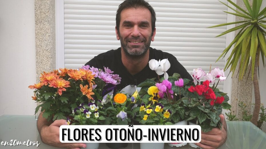 Cómo elegir las flores del jardín