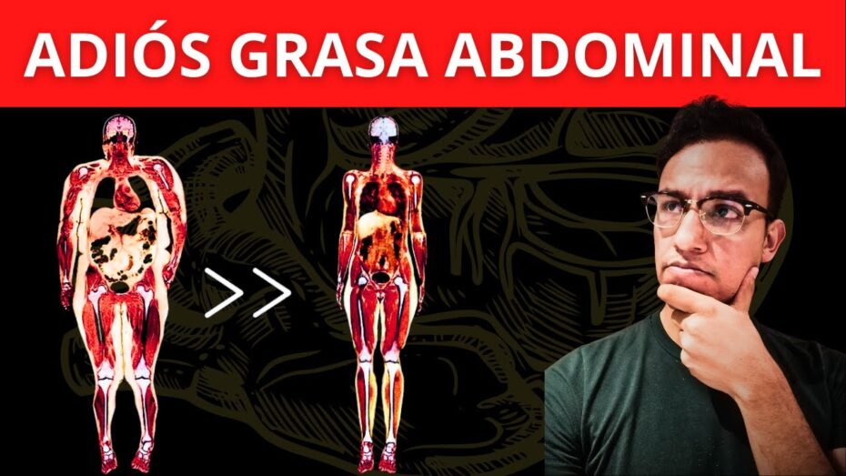 Cómo eliminar la grasa de los abdominales