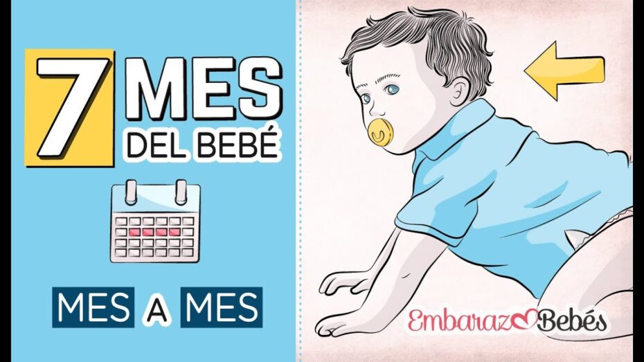 Cómo es el bebé a los 7 meses