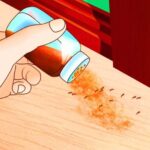 Cómo evitar insectos en el hogar