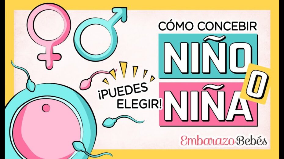 Cómo favorecer la concepción en las relaciones sexuales