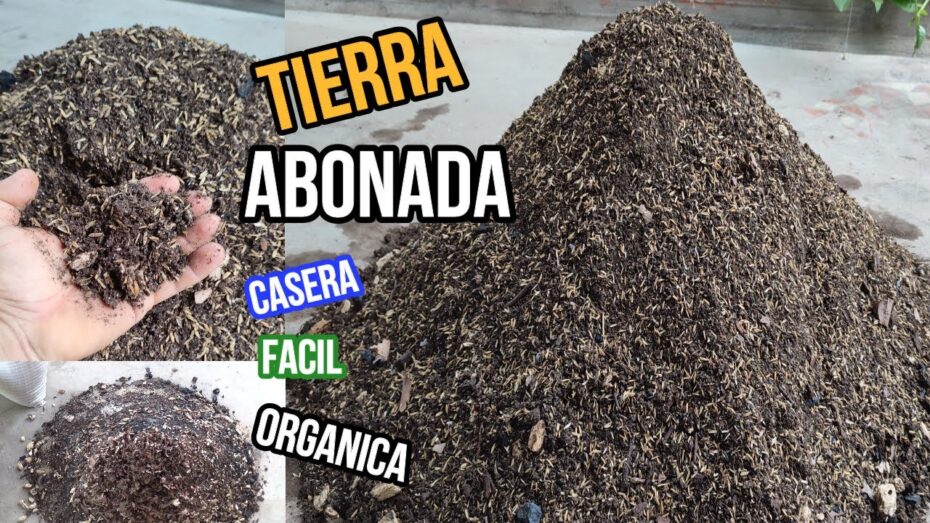 Cómo hacer abono orgánico para las plantas