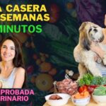 Cómo hacer comida casera para perros