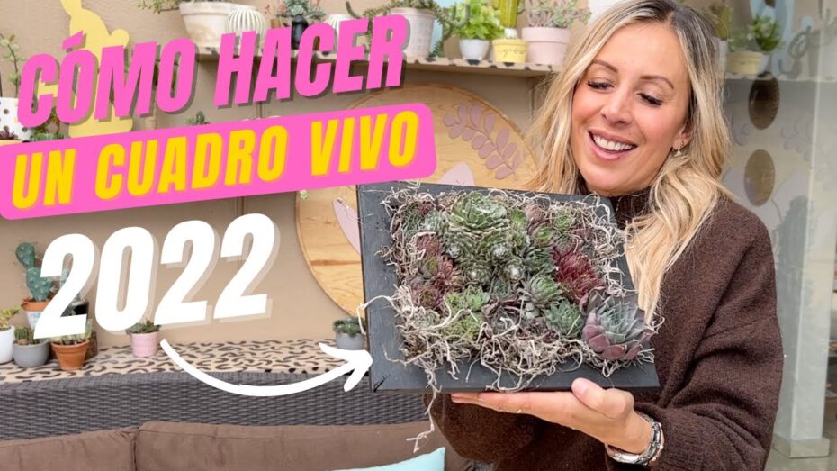 Cómo hacer cuadros con suculentas