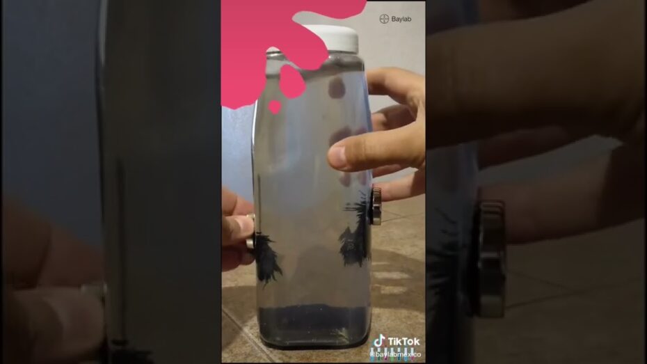 Cómo hacer imanes didácticos y entretenidos