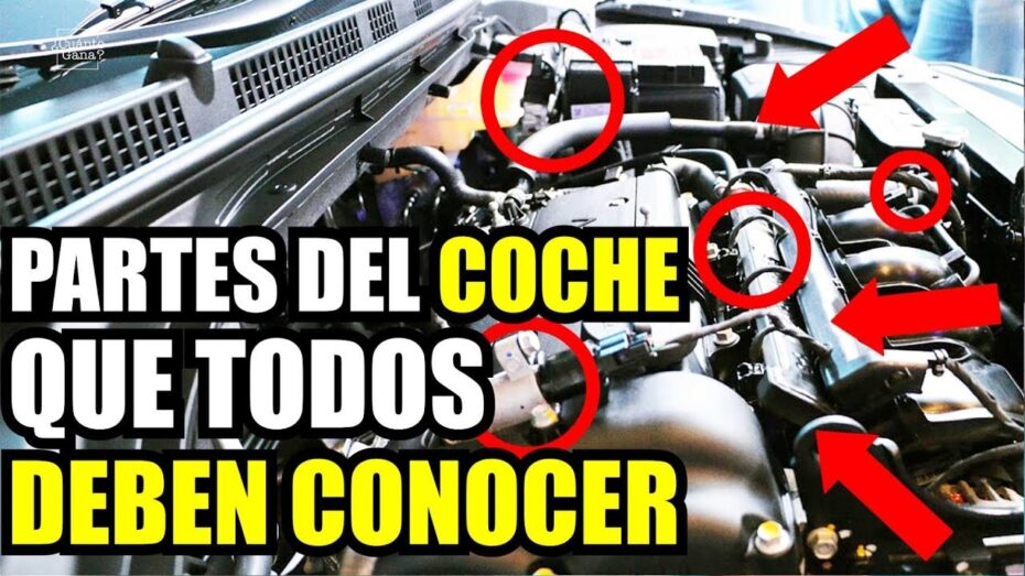 Cómo hacer un chequeo básico del coche