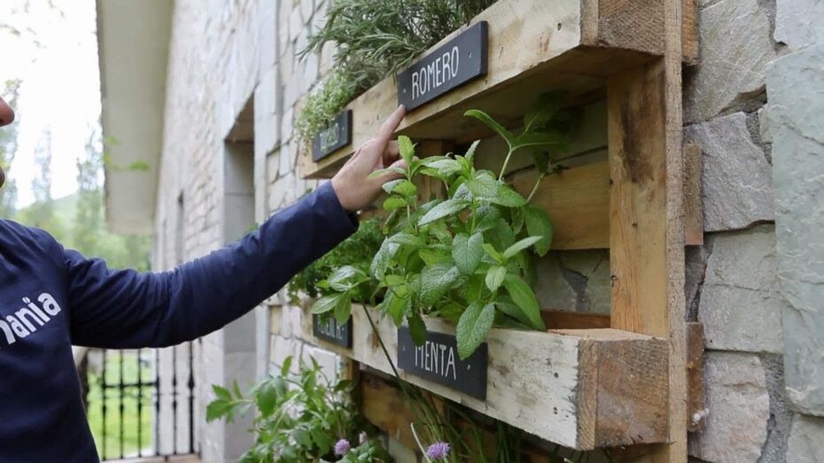 Cómo hacer un jardín aromático Cómo hacer un jardín aromático