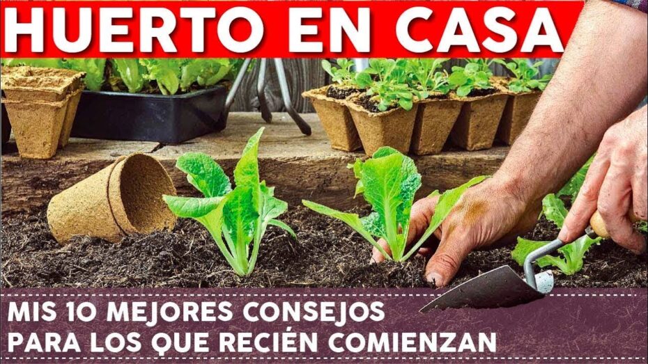 Cómo hacer una huerta en casa sin tener jardín