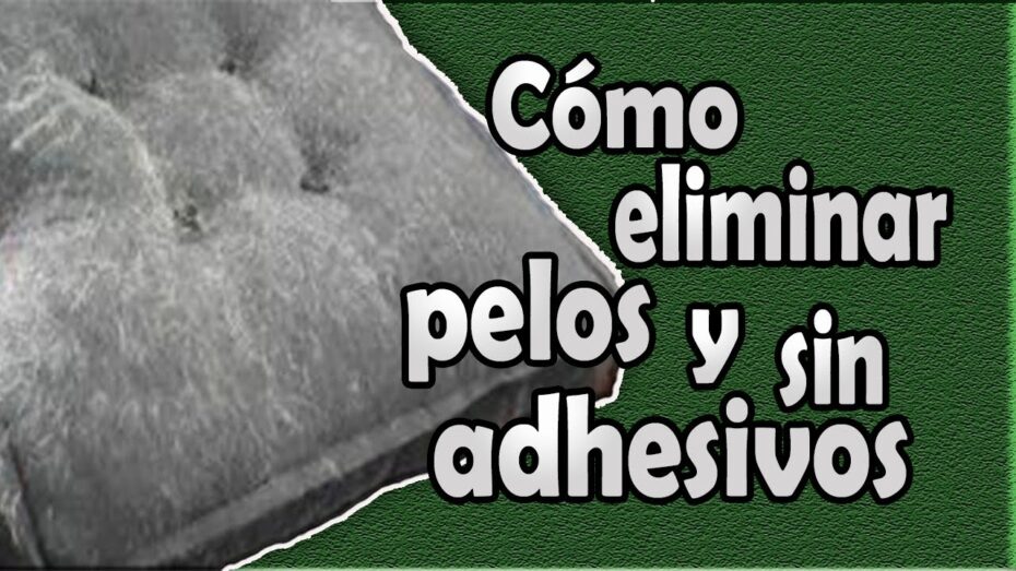 Cómo limpiar el pelo de nuestras mascotas en el hogar