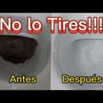Cómo limpiar el sanitario Cómo limpiar el sanitario