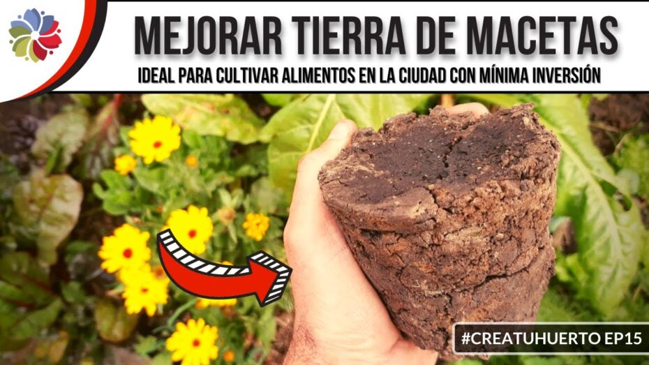 Cómo mejorar la tierra de macetas y jardines