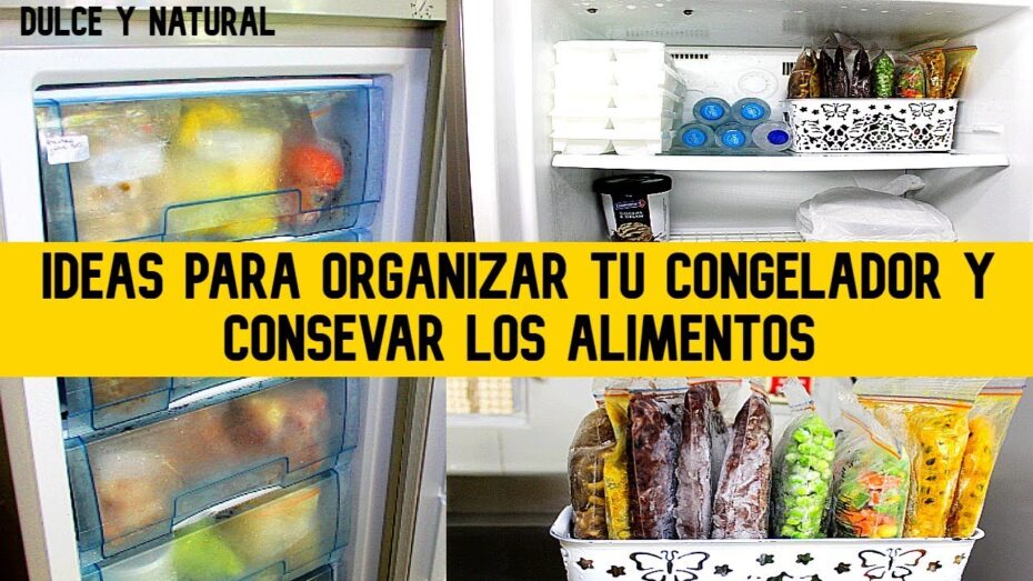 Cómo ordenar el freezer
