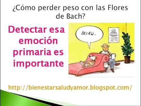 Cómo perder peso con flores de bach